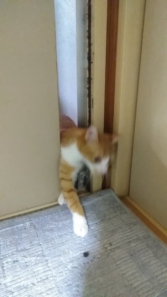 不正入場