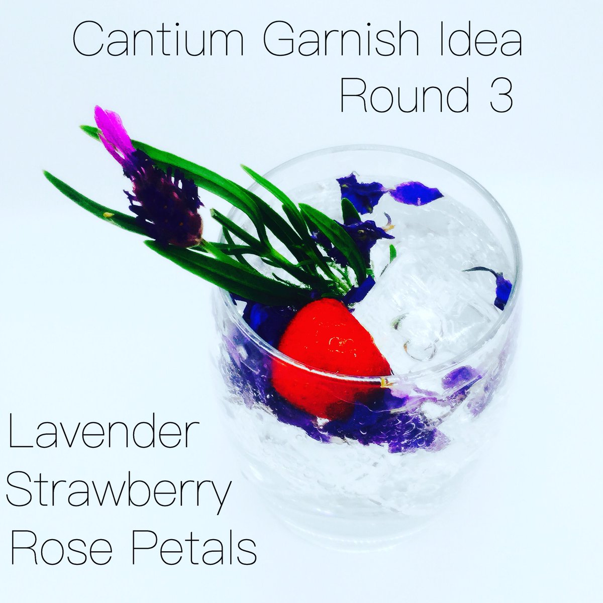 Cantium_Gin (@cantiumg) on Twitter photo 