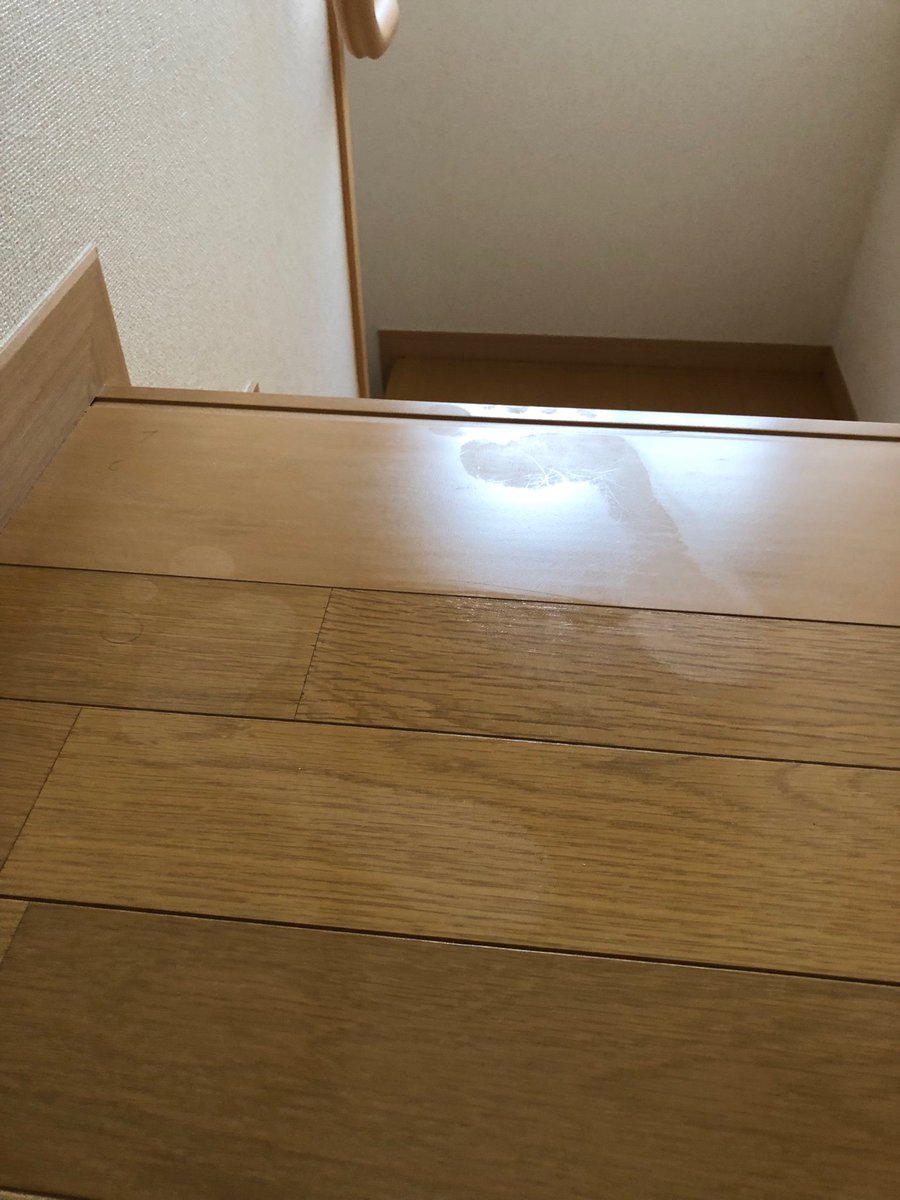 足跡の怪 足跡の怪