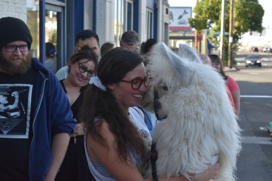 MsArielKnox's tweet photo. Pics from tonight's 15th Anniversary of #NapoleonDynamite, of friends, like @BrittanyFalkers & @QurbMag with Caesar and fans with @hederjon, are up on Facebook.
#imwiththellama #llamas4progress #llamactivism https://t.co/7vT1EtbdNW