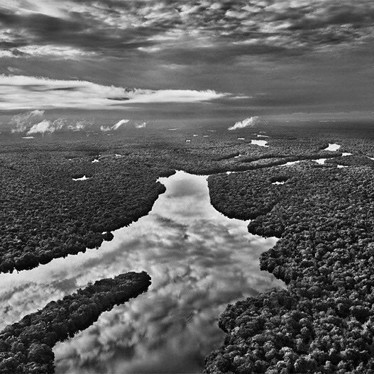 ArsEstHabitus's tweet photo. Our task must be to free ourselves... by widening our circle of compassion to embrace all living creatures and the whole of nature and it's beauty.
― Albert Einstein
(Amazon Forest, Jurua river, Amazonas state, Brazil, 2009 by Sebastião Salgado) #AmazonFires #helpamazonia https://t.co/ZdGL10jvuw