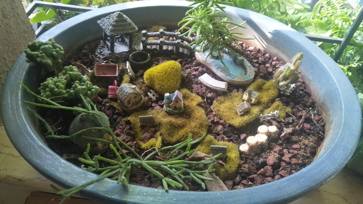 I find making and looking at fairy gardens everyday, almost therapeutic. Perfect little worlds, undisturbed by external events. #gardenlife https://t.co/1ftIoec9Ao