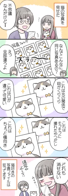 飼い猫写真のこの感覚、私だけじゃないですよね！？
ねっ！？(ﾟдﾟ)

 