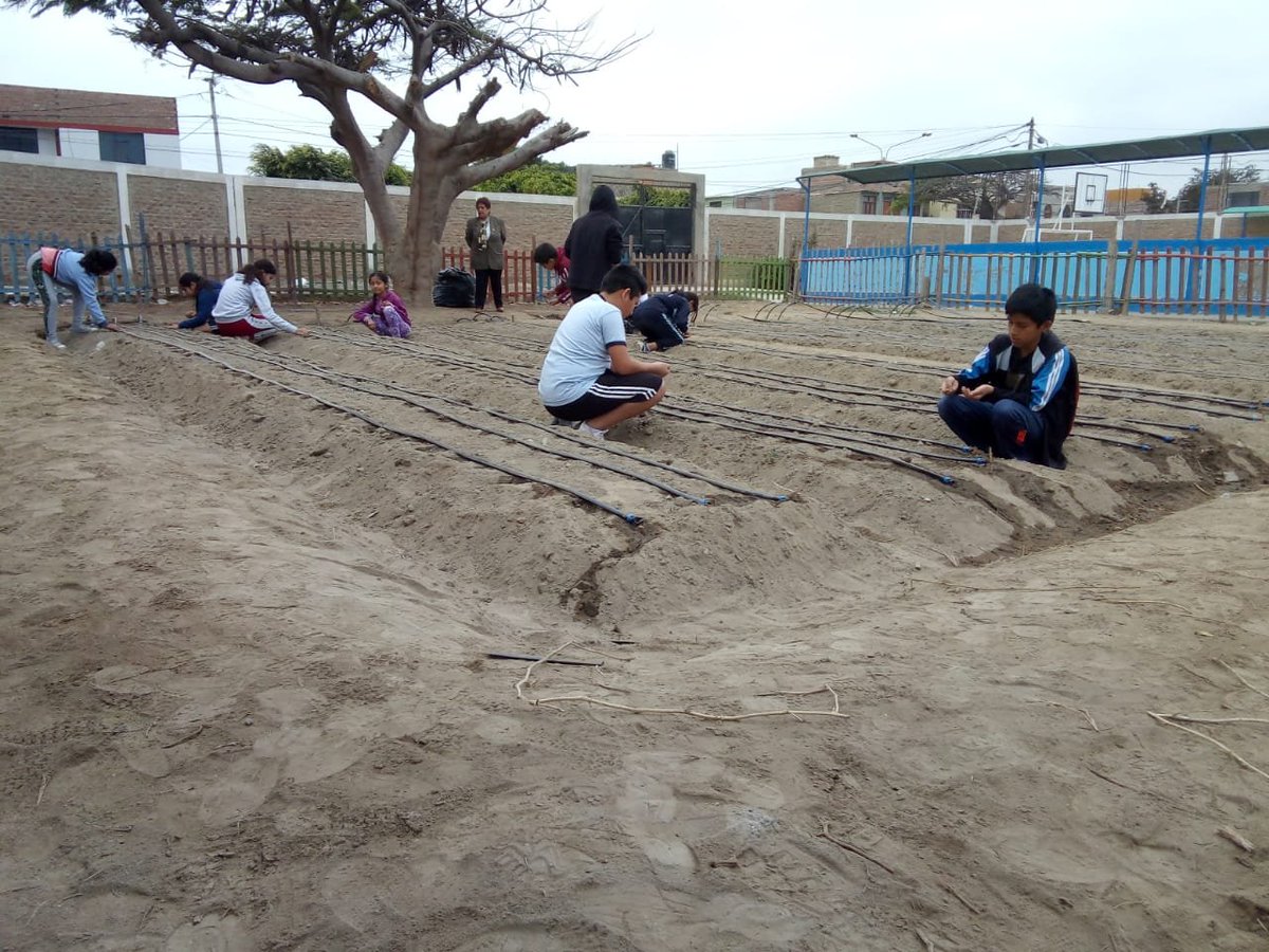 RotaryChimbote's tweet photo. Contribuyendo a la vida, Rotary alienta y apoya a niños a tener y cuidar sus propios biohuertos, con riego tecnificado. Saludamos a las https://t.co/CNKnP50Iqs. Virgen del Carmen, Politécnico y Elías Aguirre, que lograron almacigar con semillas. @rotarychimbote Conecta al Mundo. https://t.co/RzwmlM3MH0