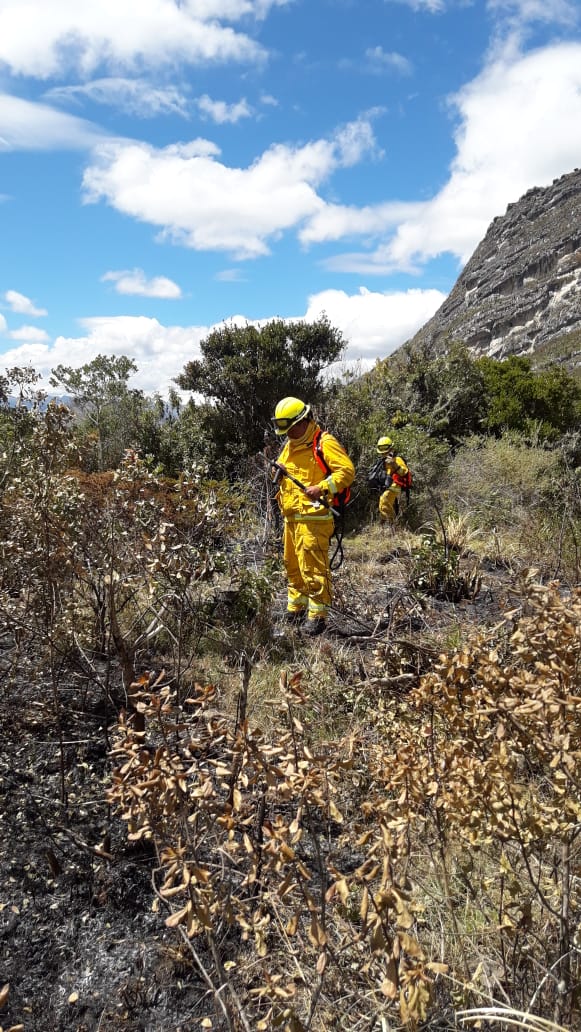 SERNANP's tweet photo. #GuardaparquesEnAcción
Guardaparques bomberos forestales @SERNANP👨‍🚒 se dirigen al sector Moyoorcco, al interior del Santuario Nacional de Ampay (Apurímac), para combatir incendio🔥 que viene afectando alrededor de 20 hectáreas.
#PerúNatural
#EstamosJuntosEnEsto https://t.co/aVfMeLkIhj