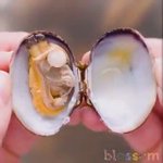 家事の悩み・こんな方法があったなんて・めちゃくちゃ便利じゃん・ナイスアイデア!!!!!!!