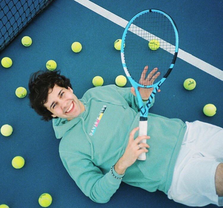 david dobrik beverly collection