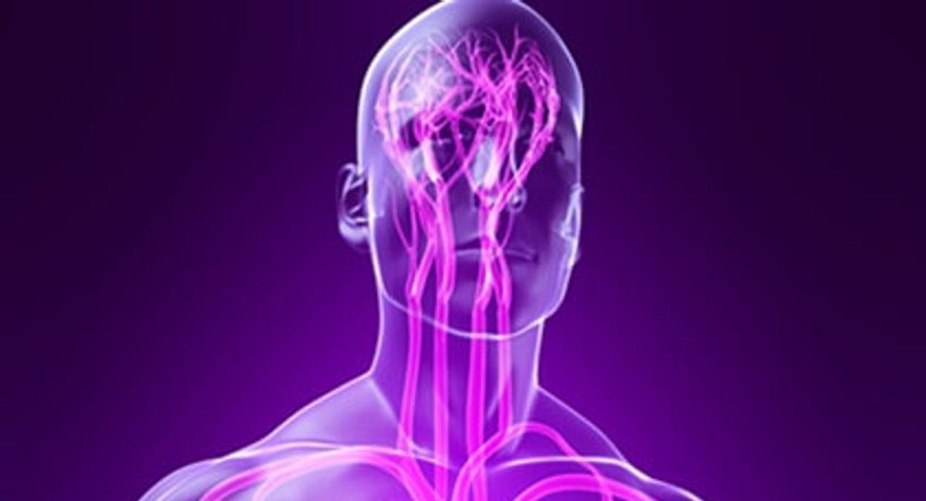 acupuncturecbd's tweet photo. Find out how Advanced Neurological Acupuncture works! A rarely mastered, advanced way of treating pain, where the patient is able to feel an instant effect within under a minute of the needles being placed into the body. #acupuncture https://t.co/iD7ep2xP6g https://t.co/KgckBVSupf