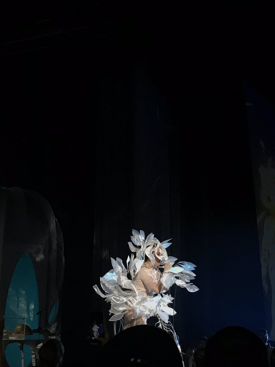 Alecccs_'s tweet image. Tuve a Björk a 15 metros. DE VERDAD ME PUEDO MORIR EN PAZ.