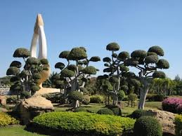 TreesUnique's tweet image. #flowering #season #year around.
#landscape use #large planter,specimen,background #plant
#HappyJanmashtami