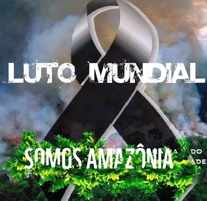 FERNANDA AMARAL (@fernand53248184) on Twitter photo 