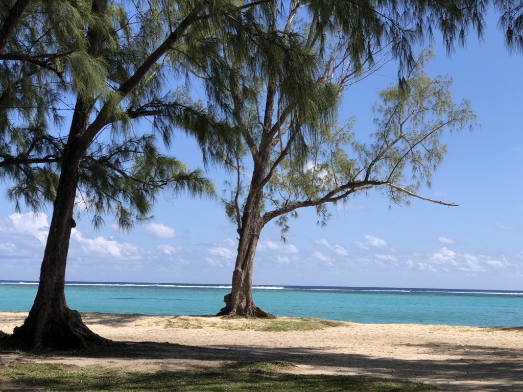 KecaRebeca's tweet photo. #islamauricio #lemorne #awesomelandscape #oceanoindico #paradise #summertime @charlyperal https://t.co/8FIDF20vl9