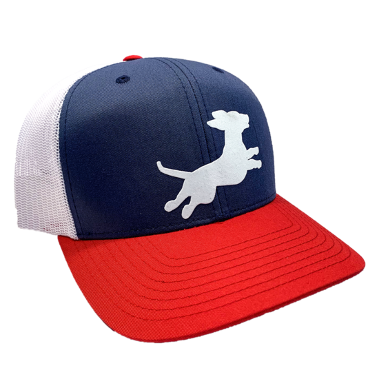FirecrackerWN's tweet photo. Wiener Dog Race Update - https://t.co/gCPQFR6y45

Did you miss out on getting your 2019 Firecracker Wiener Nationals merchandise? We now sell t-shirts, hats, and stickers at our web shop. 
https://t.co/7lHMqRDHr1 https://t.co/DKThVOogsy