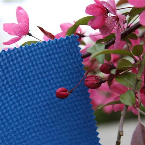 miamicorp's tweet photo. Instagram repost via Tempotest USA: "Possibilities are limitless with this solid performance fabric. How will this swatch inspire you? Featured fabric swatch: Tempotest T13 Prussian Blue.
.
.
.
#TempotestUSA #ParàTempotest #TeflonExtreme #outdoordesign” https://t.co/d6EmiXNofH https://t.co/atAe5qMW8k