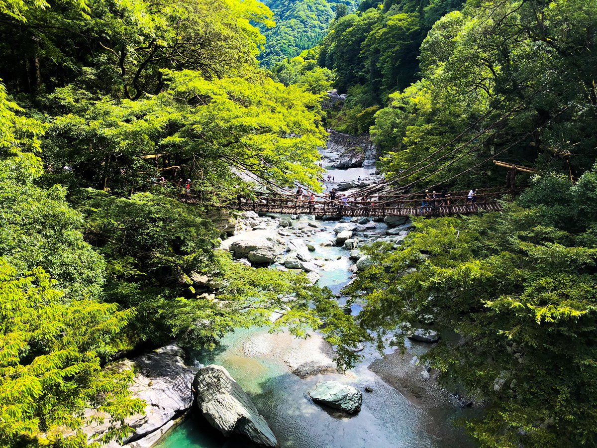 28__yusuke's tweet photo. 四国旅行2日目

#祖谷のかずら橋 #うだつの町並み #ワタル珈琲 #徳島 #阿波踊り #nikon #gopro https://t.co/ZINLhziOp7