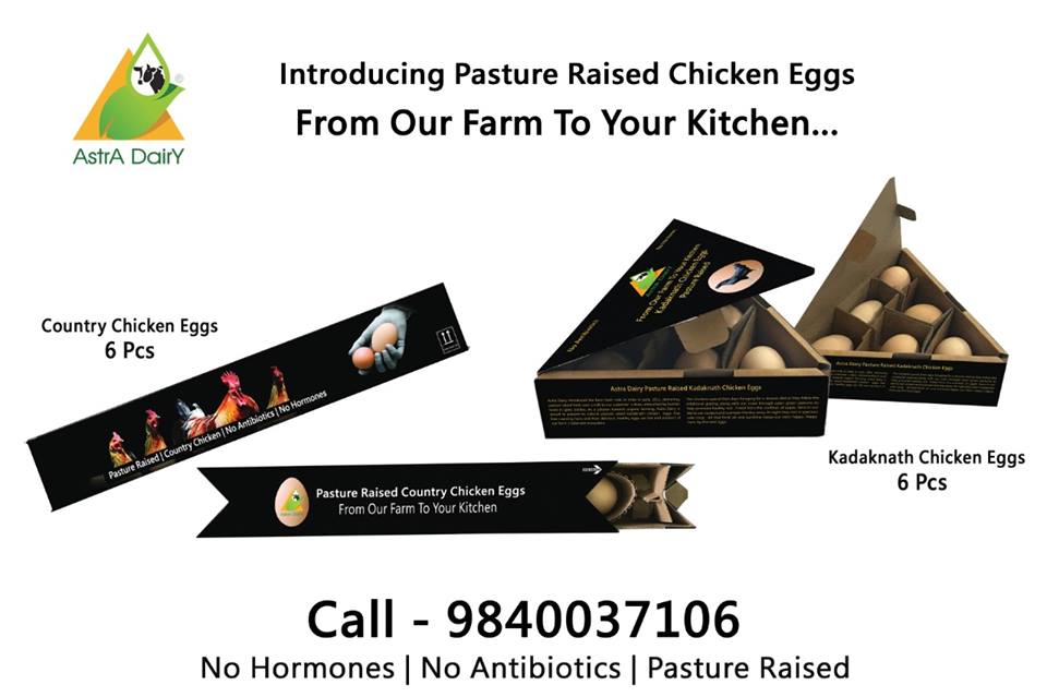 AstraDairy's tweet photo. Astra Dairy natural pasture-raised country chicken and Kadaknath chicken eggs. Our free-roaming hens and their delicious, healthy eggs are the end product of our farm’s balanced ecosystem. For more details visit https://t.co/eFuUv8FJYr

#organiceggs #countrychicken #Kadaknath https://t.co/aG9zKpqQIo