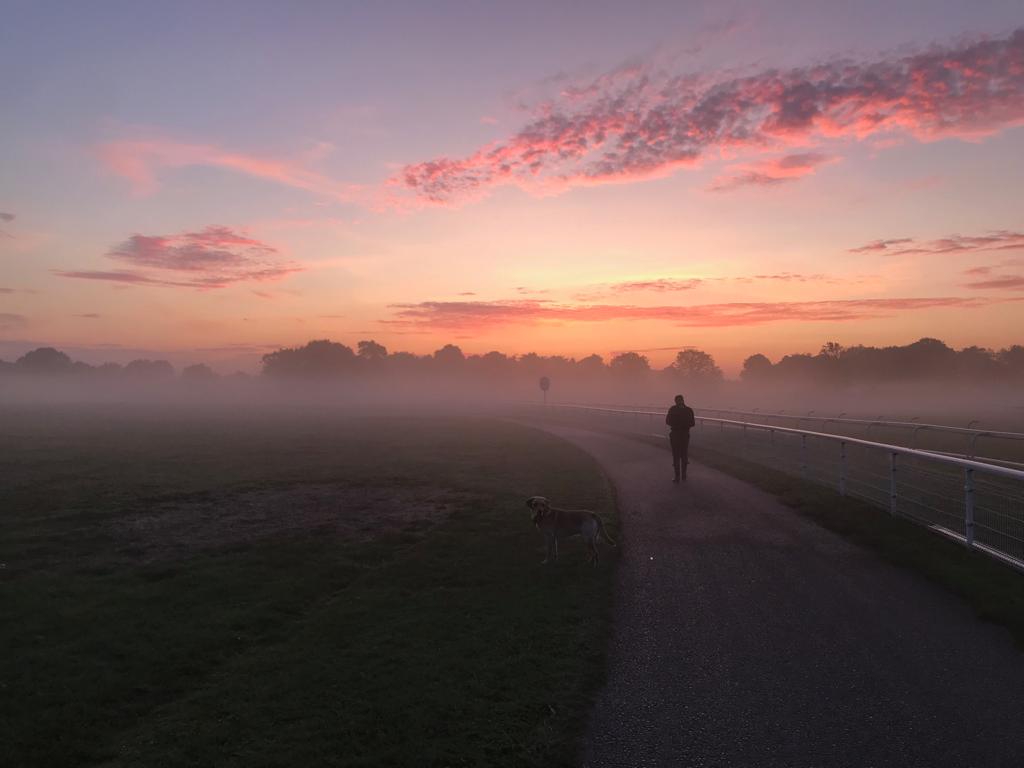 York Racecourse (@yorkracecourse) on Twitter photo The day has dawned for the first milllion pound <a href="/SkyBet/">Sky Bet</a> Ebor! 
Welcome to the final day of the <a href="/Welcome2Yorks/">Welcome to Yorkshire</a> Ebor Festival. 
βοΈππππ€ The day has dawned for the first milllion pound <a href="/SkyBet/">Sky Bet</a> Ebor! 
Welcome to the final day of the <a href="/Welcome2Yorks/">Welcome to Yorkshire</a> Ebor Festival. 
βοΈππππ€