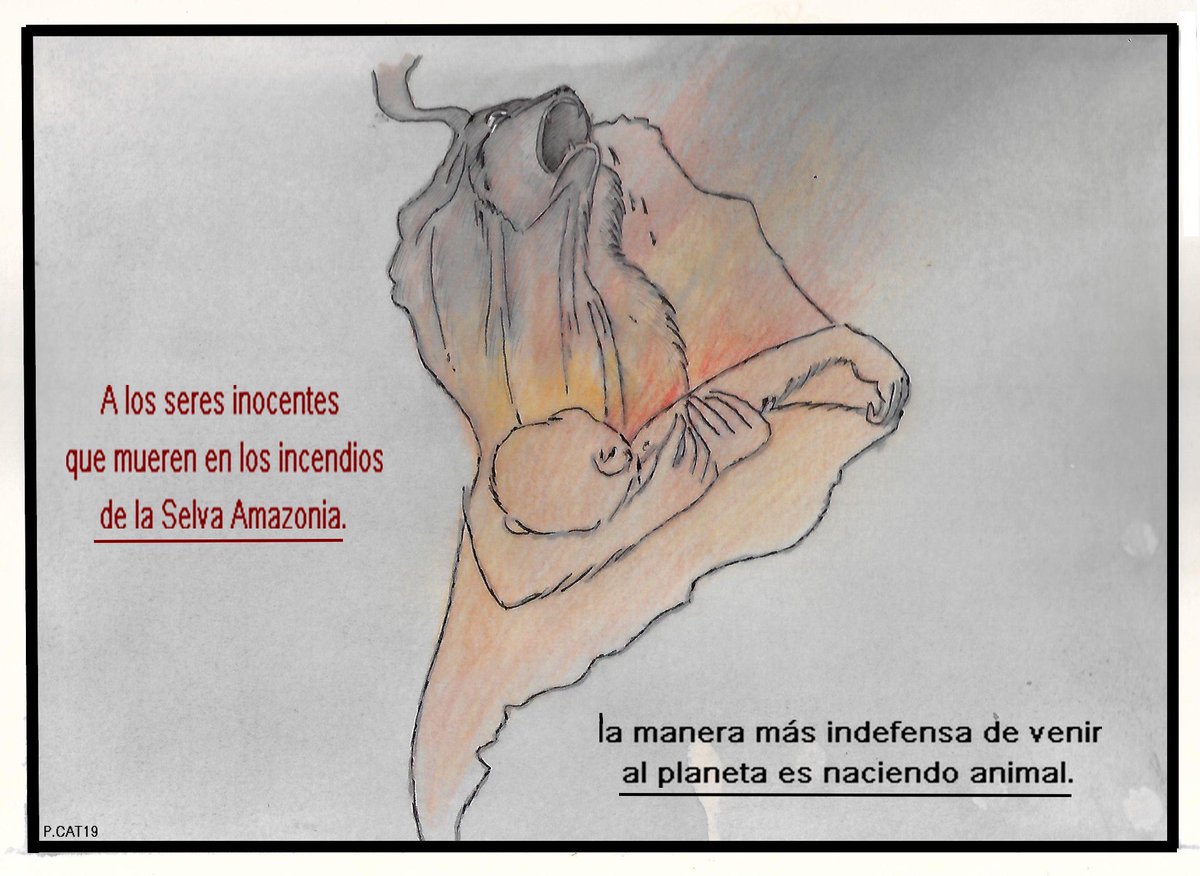 pacocatt's tweet photo. Mi viñeta de hoy sábado 24 de agosto de 2019.
Mal compañero de viaje es el ser humano para el resto de los animales que habitan este mundo sin repuesto. https://t.co/JpskV8FXEh