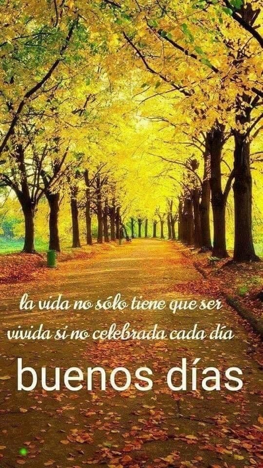 Top 48+ imagen buenos dias de otoño - Thptnganamst.edu.vn