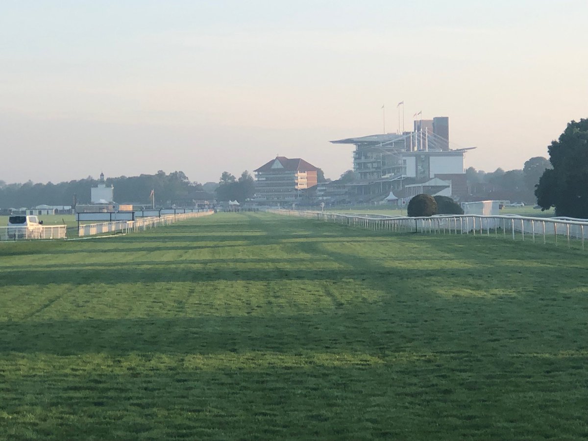 Tarka2402's tweet photo. One of THE great sights in racing—a sunny morning on the Knavesmire https://t.co/7YQqi5Rf0L