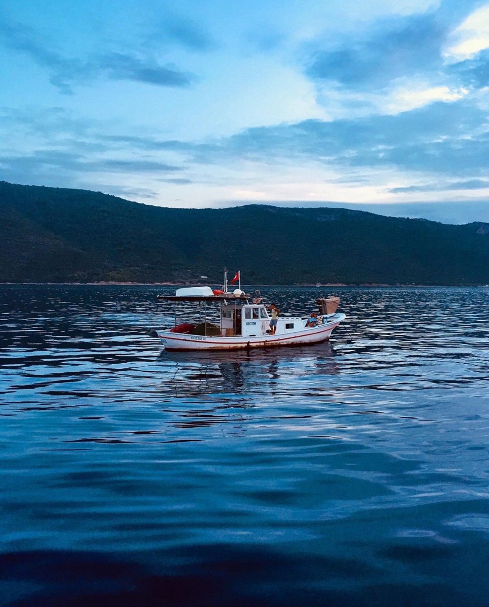 Günaydın... Tadımız tuzumuz yok! Dünya bu kadar kötü olmamalı😒 Bitmek bilmeyen şiddet olaylarına kahroluyoruz! 📸 makrorota