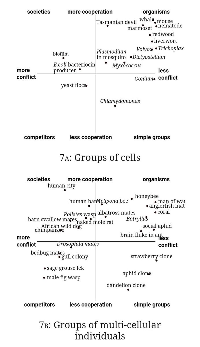 free electrotransformation of bacteria 2000