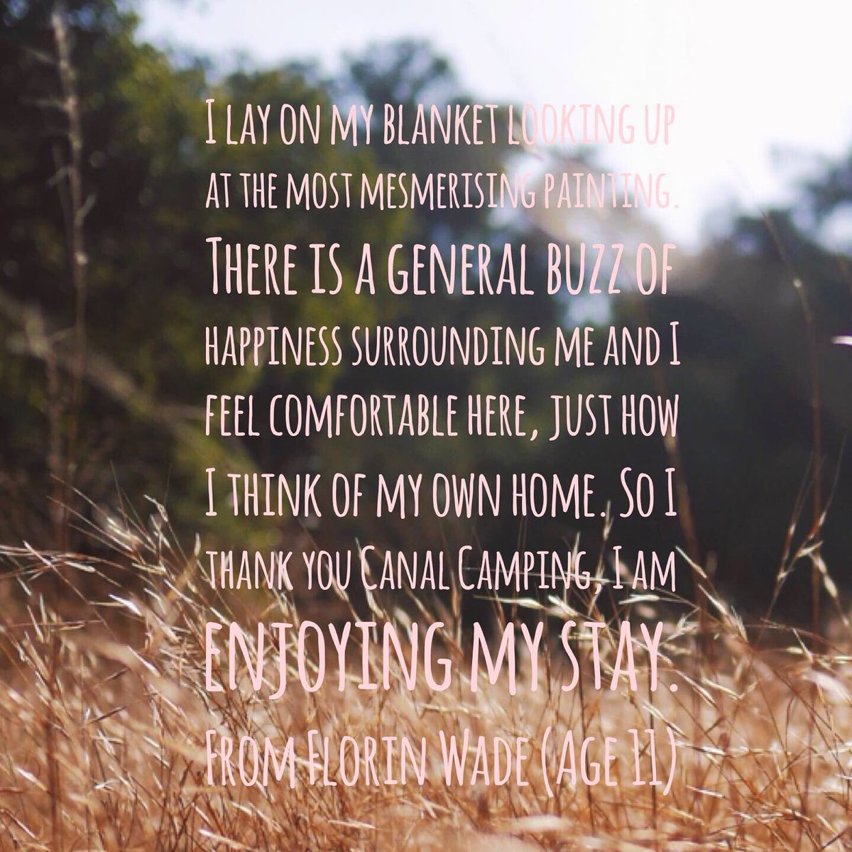 CampingCanal's tweet photo. We just had to share this gorgeous poem that our lovely camper Florin wrote during her stay with us. 🥰🏕💫🌌 #norfolkcamping #norfolkholiday https://t.co/SsicFXdqMl