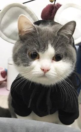 fluffy_Yeonjun's tweet photo. ㅤ

　　🐱🐭

　#투모로우바이투게더 #TXT
　#연준 #최연준 #YEONJUN
　@TXT_members
ㅤㅤ https://t.co/aX6M9nIuEP