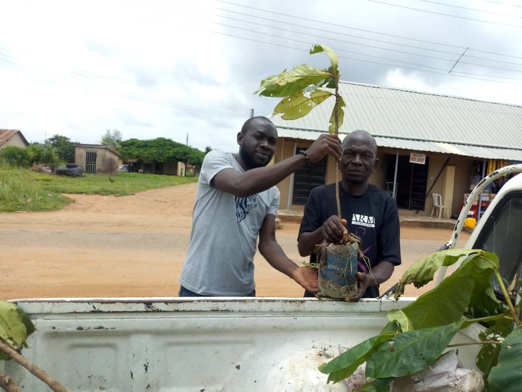 DevTrainNg's tweet photo. Ongoing is the Distribution/ planting of seedlings by the #GoGreenTeamBenue in and around Makurdi Town
#GreeningNigeria
#OneBillionTreesForAfrica https://t.co/6cgoNSxLGm