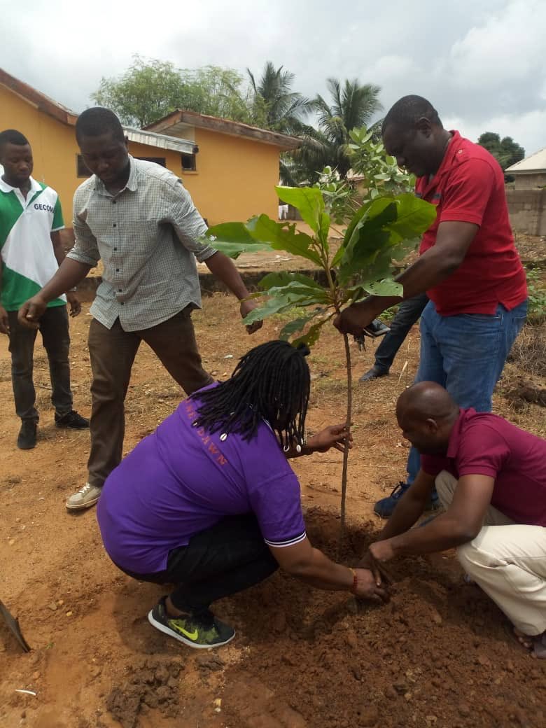 Ongoing is the Distribution/ planting of seedlings by the #GoGreenTeamBenue in and around Makurdi Town
#GreeningNigeria
#OneBillionTreesForAfrica