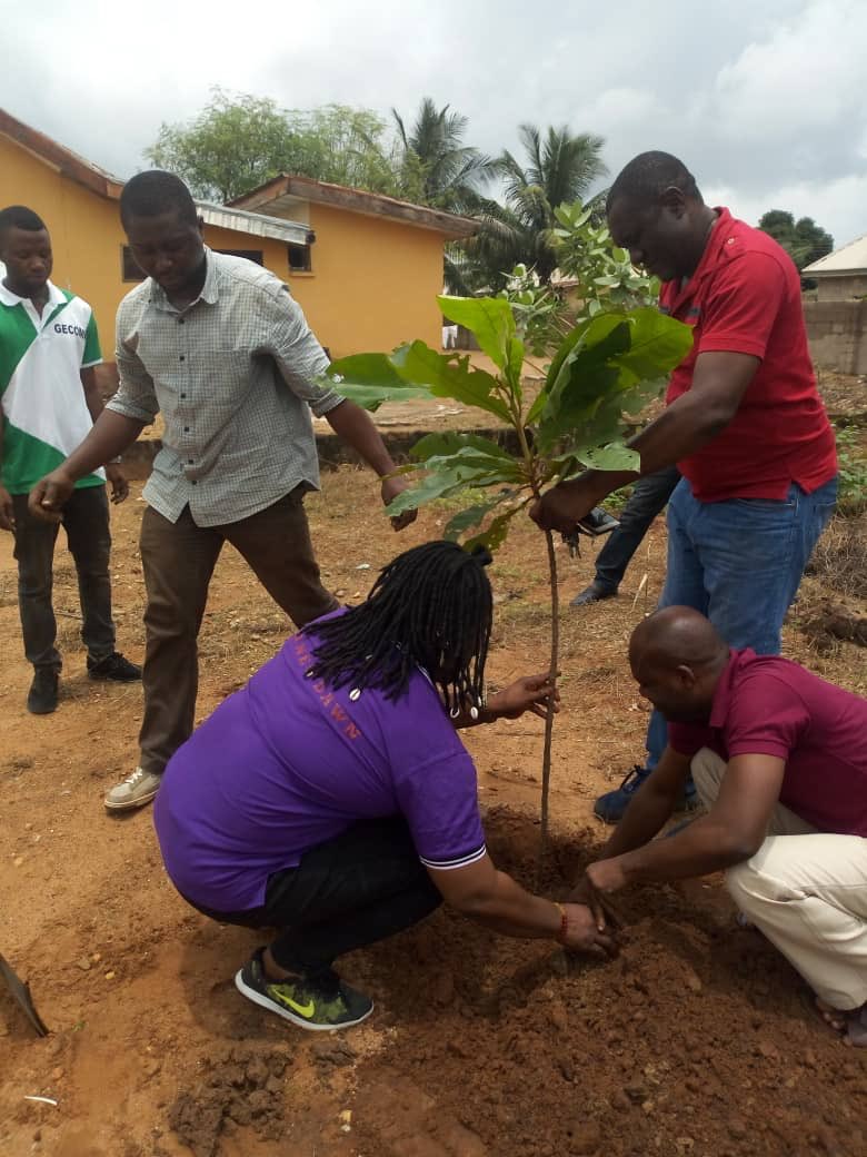 DevTrainNg's tweet photo. Ongoing is the Distribution/ planting of seedlings by the #GoGreenTeamBenue in and around Makurdi Town
#GreeningNigeria
#OneBillionTreesForAfrica https://t.co/6cgoNSxLGm