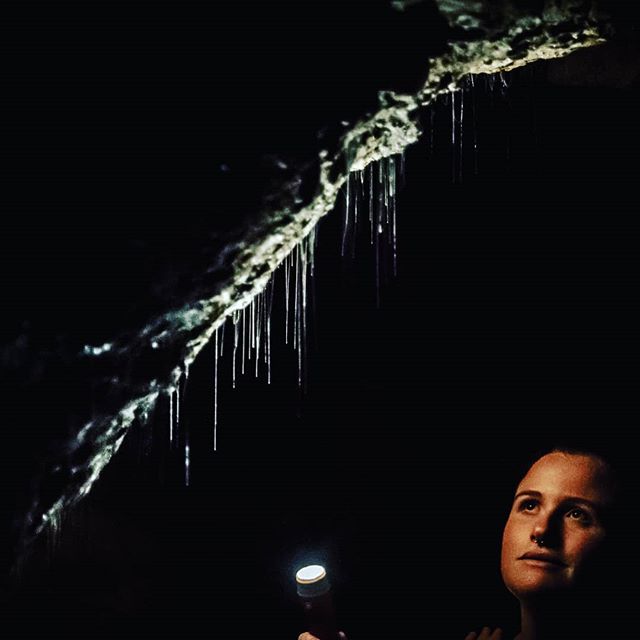 MiguelDRey's tweet photo. "Gusanos" luminosos

#glowworms #nikon  #d800 #instaday #instagood #shotoftheday #bestoftheday #goodoftheday #picofthedays https://t.co/rEjr53j8uA