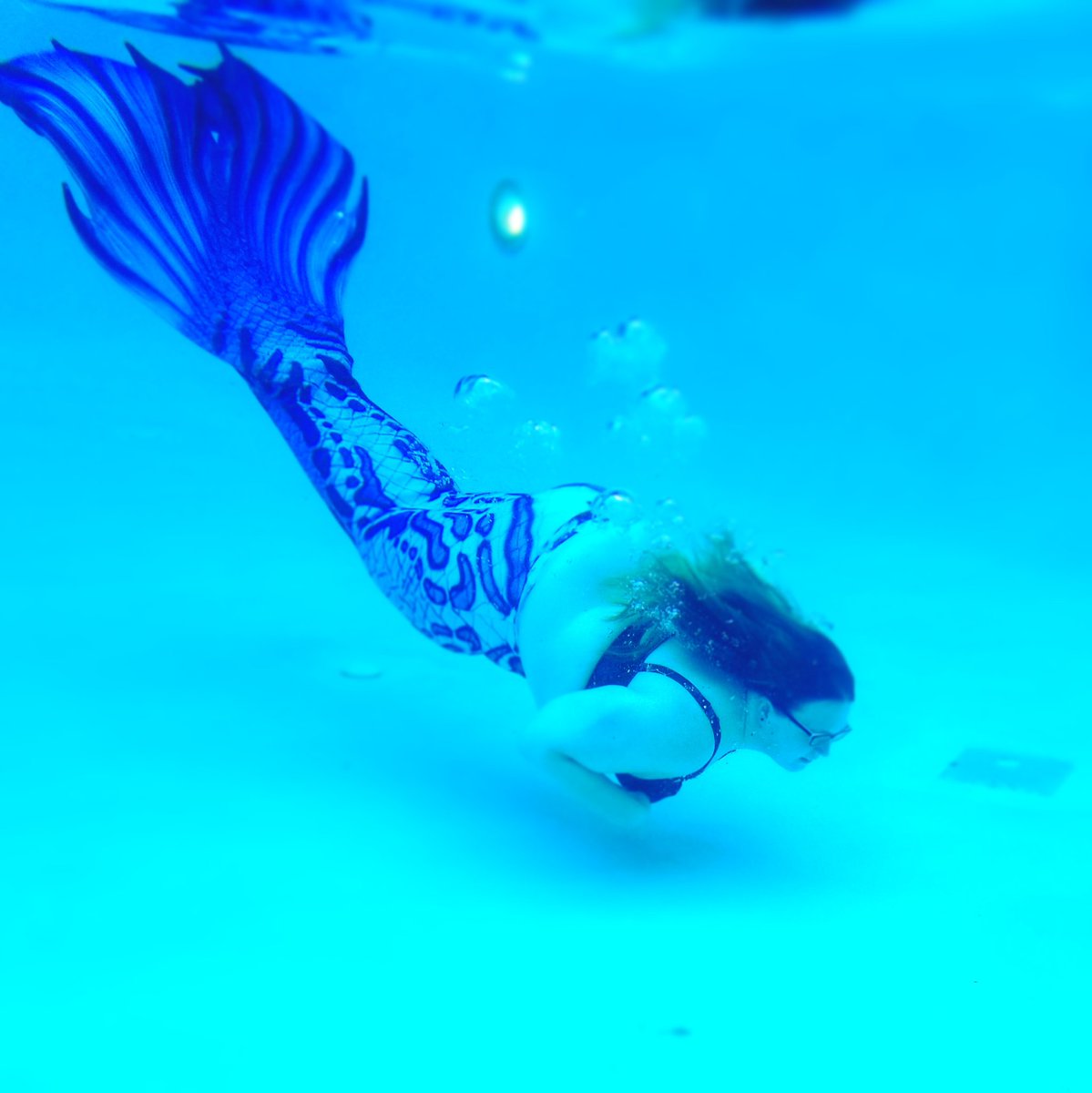 mermaidshells's tweet photo. @rachsyme I have a... uh... mermaid tail. That I swim in. #PartTimeMermaid https://t.co/cTUE4X09ol