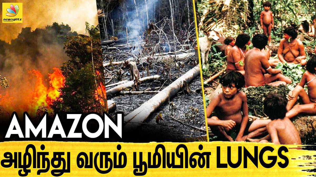 newsglitzcom's tweet image. AMAZON - காடுகள் தீ விபத்தினால், வரும் ஆபத்துகள் ! #brazilfire #AmazonRainforest #SAVEAMAZONFOREST 
click for full video | youtube.com/watch?v=82u5kz…
