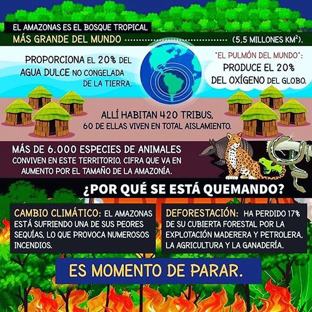 TipsAgroeco's tweet photo. A todos nos debería importar el incendio del amazonas, aún hay personas que no conocen el impacto a nivel mundial de lo que está sucediendo.
.
.
.
.
.
#Amazonas #Amazonia #IncendioForestal #Bosques #Biodiversidad #Naturaleza #ConcienciaAgroecologica https://t.co/AhSKdQZsep https://t.co/2DP6E87tqi