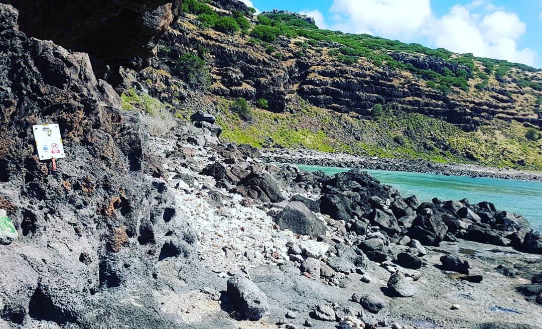 Adventure Racing International tweet media