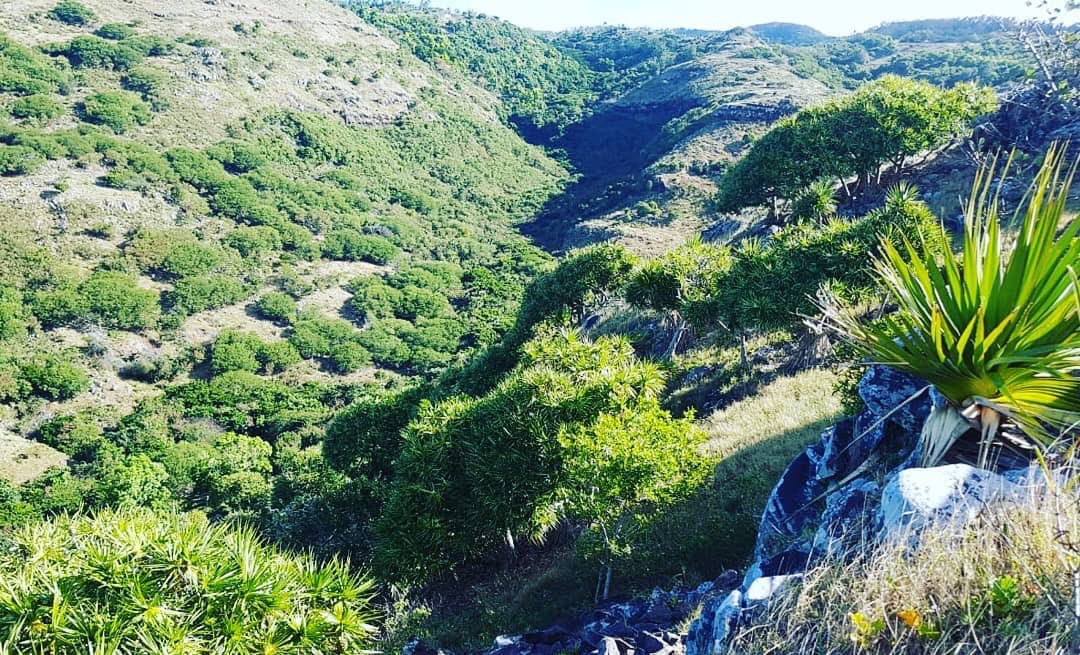 Adventure Racing International tweet media