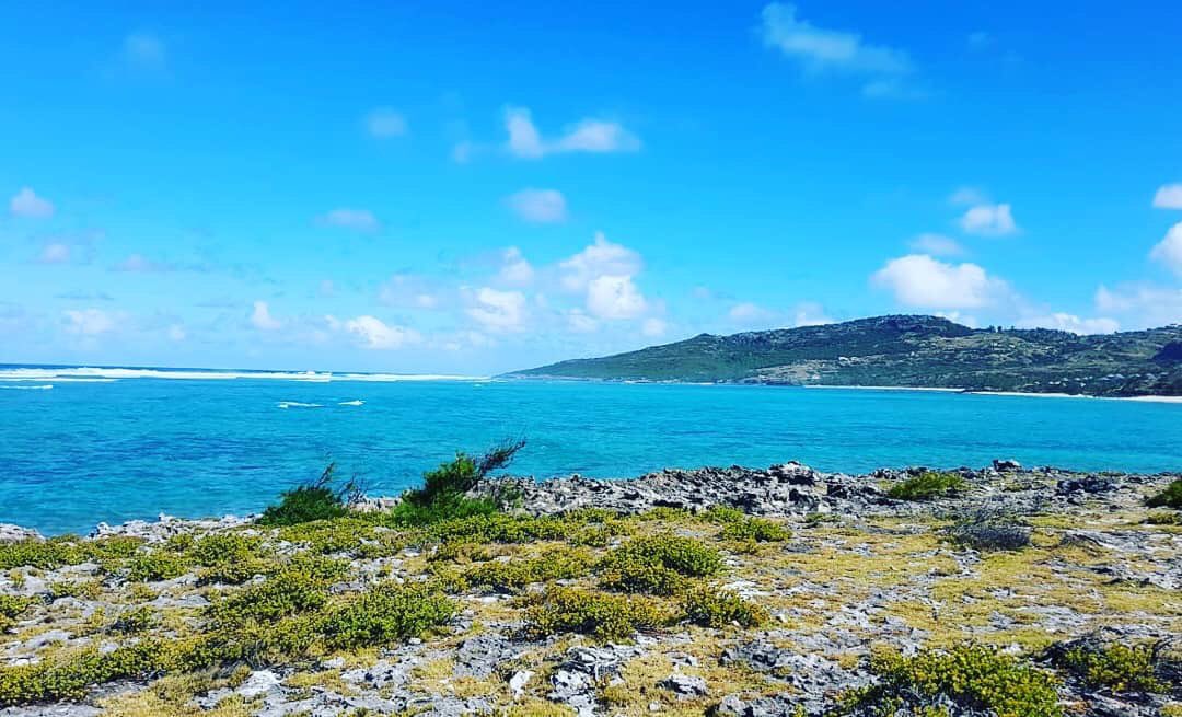 Adventure Racing International tweet media