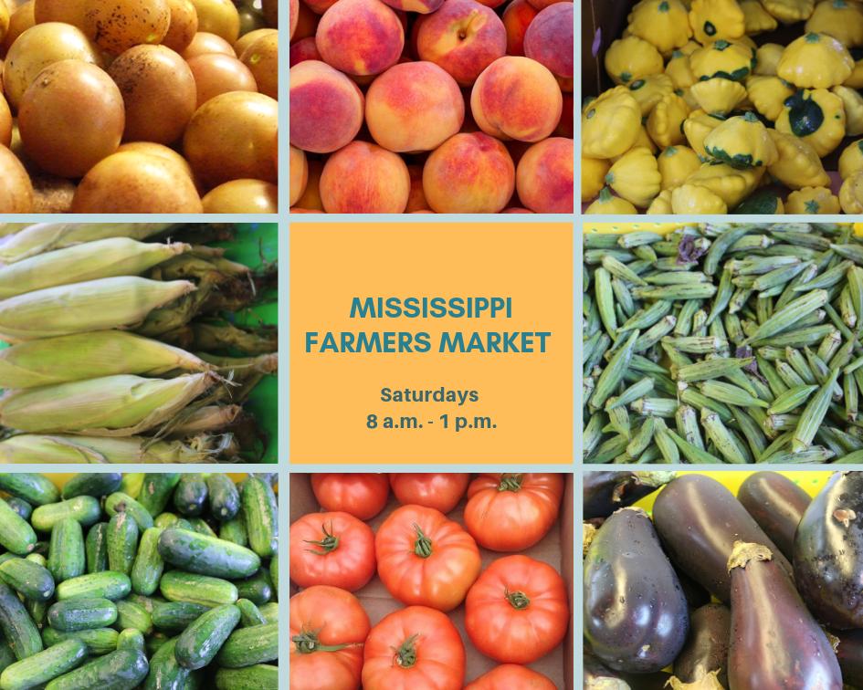 msfarmersmarket's tweet photo. The #MSFarmersMarket opens at 8 a.m. Come and grab some muscadines, peaches, squash, corn, okra, cucumbers, tomatoes, eggplants, and more today! We’ll be open until 1 p.m. today! #BringaFriendorTwo #SaturdayVibes #EatLocal #EatFresh #ShopLocal https://t.co/St4oK78ABx