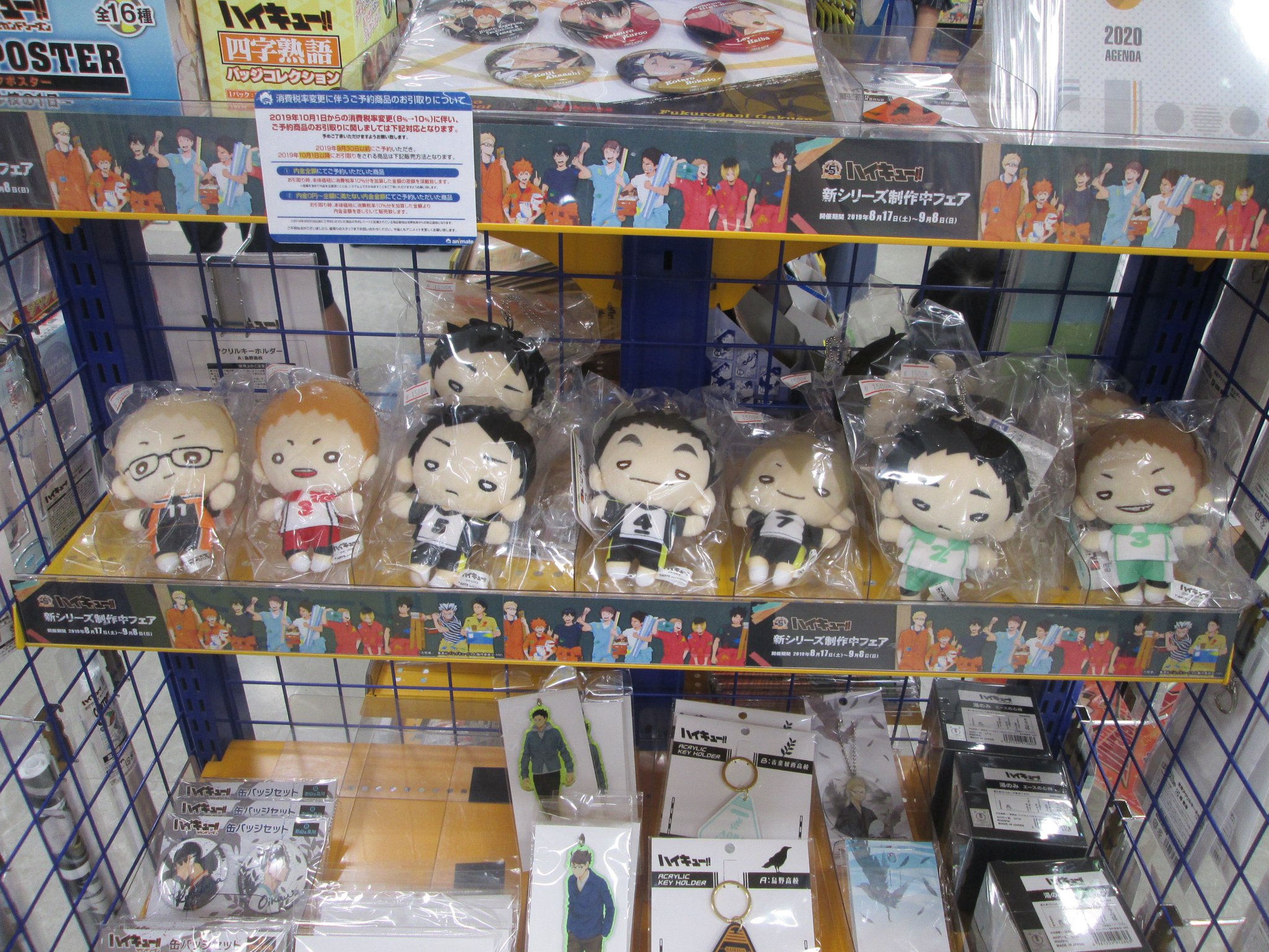 アニメイト熊本 キャラグッズ入荷情報 手元に置いておきたい にとたんｂｃ付きぬいぐるみ ハイキュー 僕のヒーローアカデミア それぞれ各種入荷致しましたクマ ご予約の方は本日より一週間がお引き取り期間となります アニ