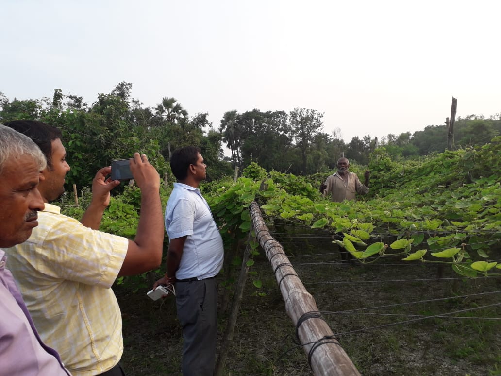 jsabegusarai's tweet photo. Field visit for the awareness of minimum use of pesticides and preference in production of crops which requires less water under jalshakti abhiyaan at village-Mushari by KVK-Begusarai
@JalShaktiAbhyan https://t.co/2sAceusina