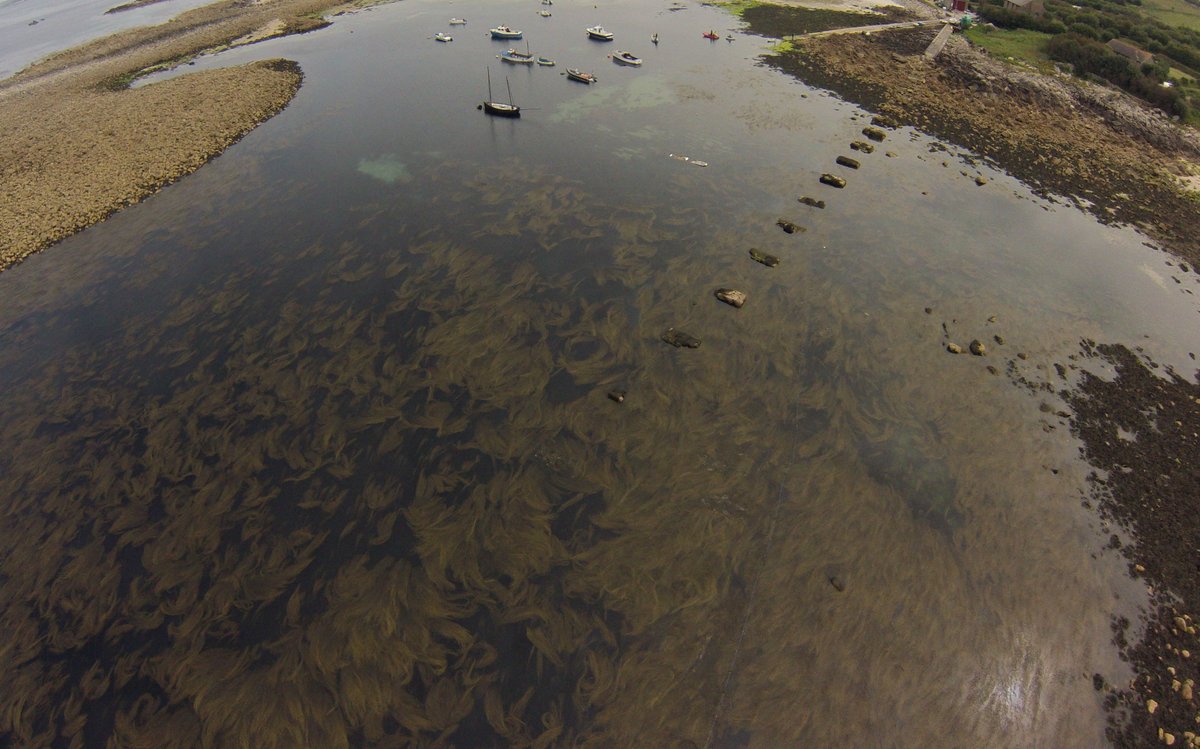 Which island? Which pool?