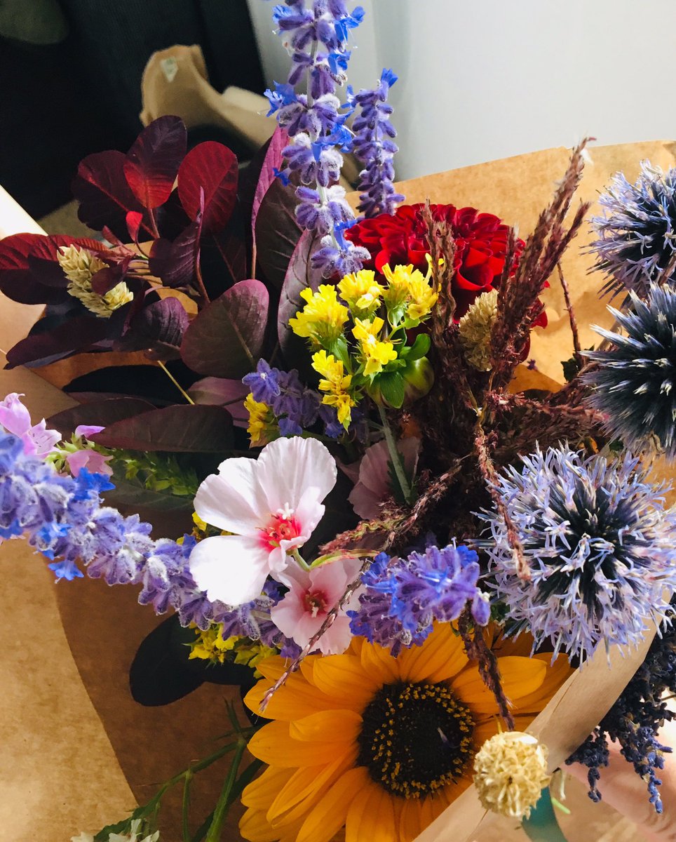 What a beautiful bunch of blooms I’ve just been handed. 💗<a href="/BirdwoodWillow/">Birdwood & Willow</a>