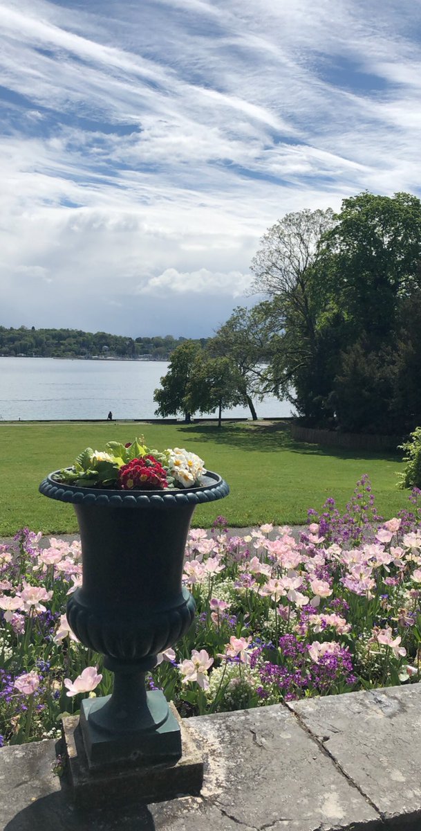 hanaj111's tweet photo. #LoveFlowers Geneva spring 2019💐❤️ https://t.co/DRUUbLTdDi