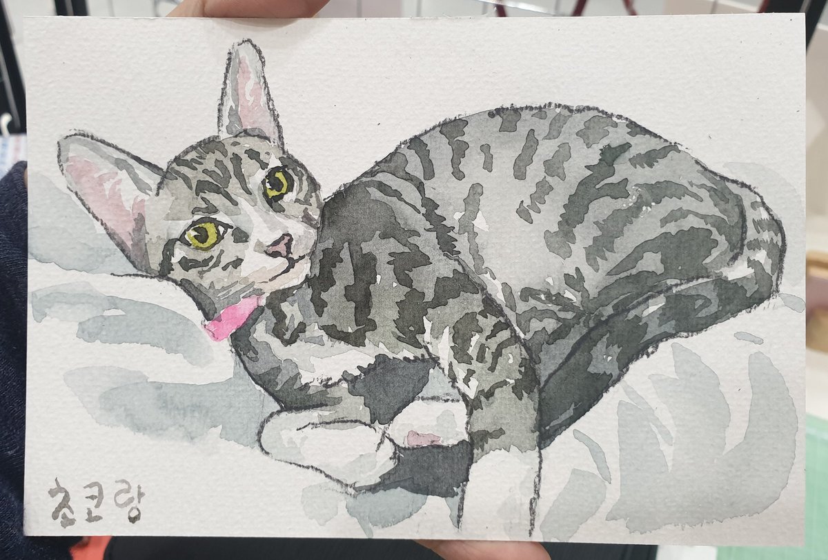 9월 20-21 궁팡 샘플준비중에 찾아본
애옹이들 만원초상화❤
궁팡에서도 진행합니다😊