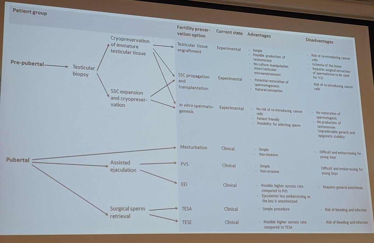 NatRevUrol's tweet photo. Overview of post-cancer-Rx fertility preservation from @CFuglesangSJ - there will be a test at the end! #CopMich2019 https://t.co/HmgqK7AIWy