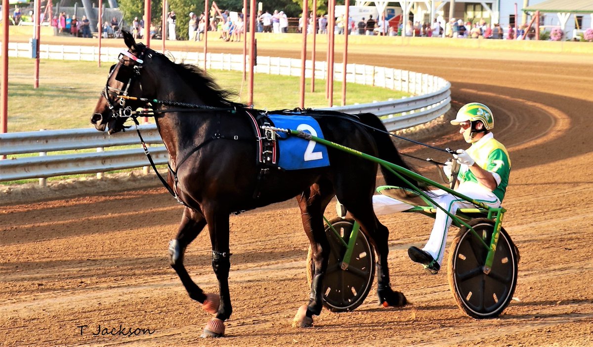 hoosiernations's tweet photo. GoodMorning @TraceTetrick @WrennSandy @Chris_wponies @JoannKi32885615 @rebelsart @jtlburn @kimberlymoier @GlenPeckinpaugh @vnssa926 @KathleenBaitzel @joe_norte @elliotgordon2 @SadandSulk @GlenRmiller64 @INStandardbred @HoP_Racing #TjsTopPick #TraceTetrick #IndianaStateFair https://t.co/blmI27RJY6