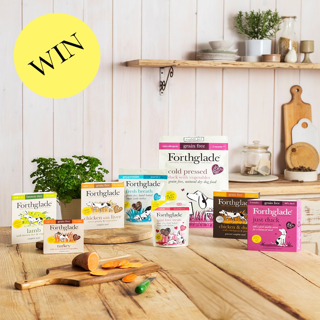 Forthglade's tweet photo. 🚨 COMPETITION TIME 🚨  
WOW what a prize we have here! WIN a personalised pawtrait of your pet, a @PitPatPet Dog Activity Monitor and a whole month's supply of @Forthglade (RRP £60). To win: 
1) Follow @PitPatPet AND @Forthglade on Twitter
2) LIKE &amp; RETWEET this post
#giveaways https://t.co/4CNrx6ZvMW