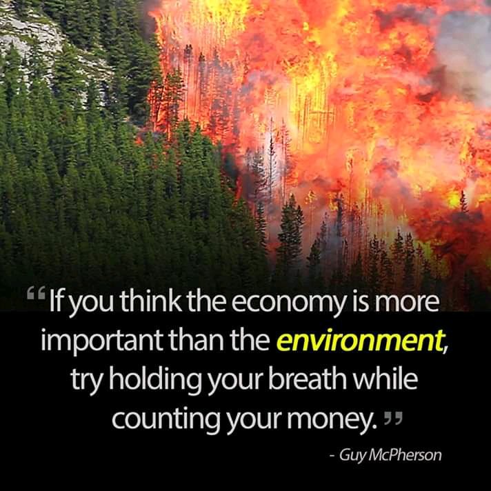 SadiqRishi's tweet photo. The environment needs a Special care from us, must especially in this age of #ClimateChange Ultimately leading to #GlobalWarming. Untill We begin to think and act towards a Sustainable environment, the fight against Climate change will not realistic.
#Environment1st
#Othersfollow https://t.co/8UJGV7xhyg
