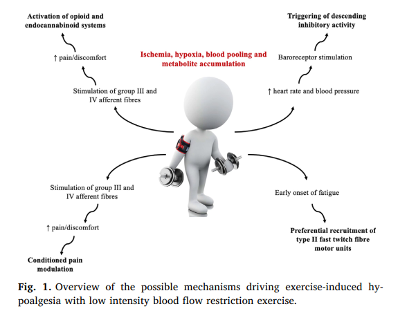 PhysioMeScience's tweet photo. Low intensity blood flow restriction exercise: Rationale for a hypoalgesia effect.

💪👇👇

https://t.co/b0TV54Uib6 https://t.co/tYNdA8Jdfj